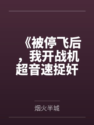 《被停飞后,我开战机超音速捉奸》 《被停飞后,我开战机超音速捉奸》