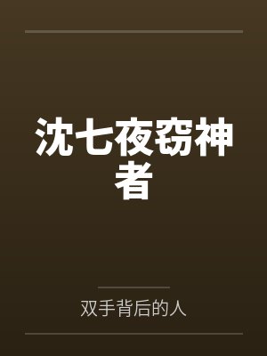沈七夜窃神者