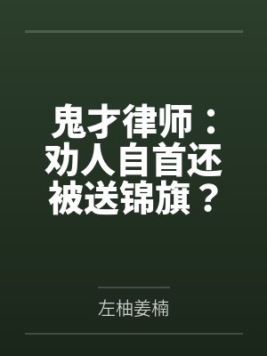 鬼才律师:劝人自首还被送锦旗? 鬼才律师:劝人自首还被送锦旗?