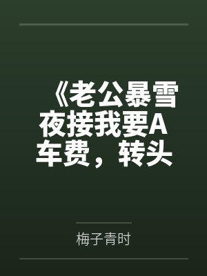 《老公暴雪夜接我要A车费,转头却无偿送学妹》 《老公暴雪夜接我要A车费,转头却无偿送学妹》