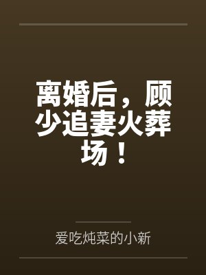离婚后,顾少追妻火葬场! 离婚后,顾少追妻火葬场!