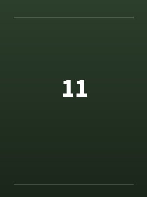 11 11