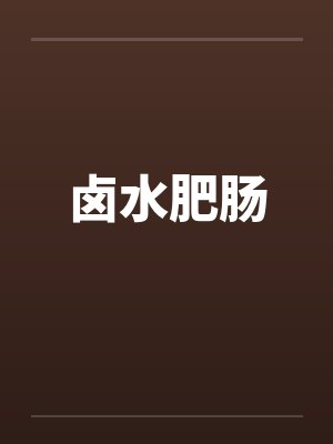 卤水肥肠 卤水肥肠