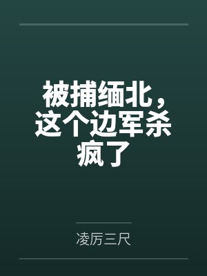 被捕缅北,这个边军杀疯了 被捕缅北,这个边军杀疯了