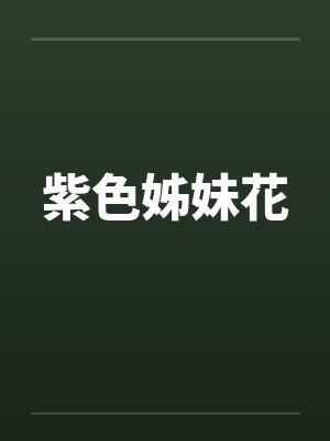 紫色姊妹花 紫色姊妹花